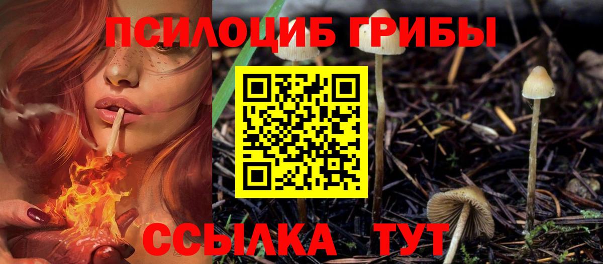 Псилоцибиновые грибы Cubensis  Галлюциногенные грибы Magic Shrooms  Барнаул  как найти закладки  Вход с VPN 